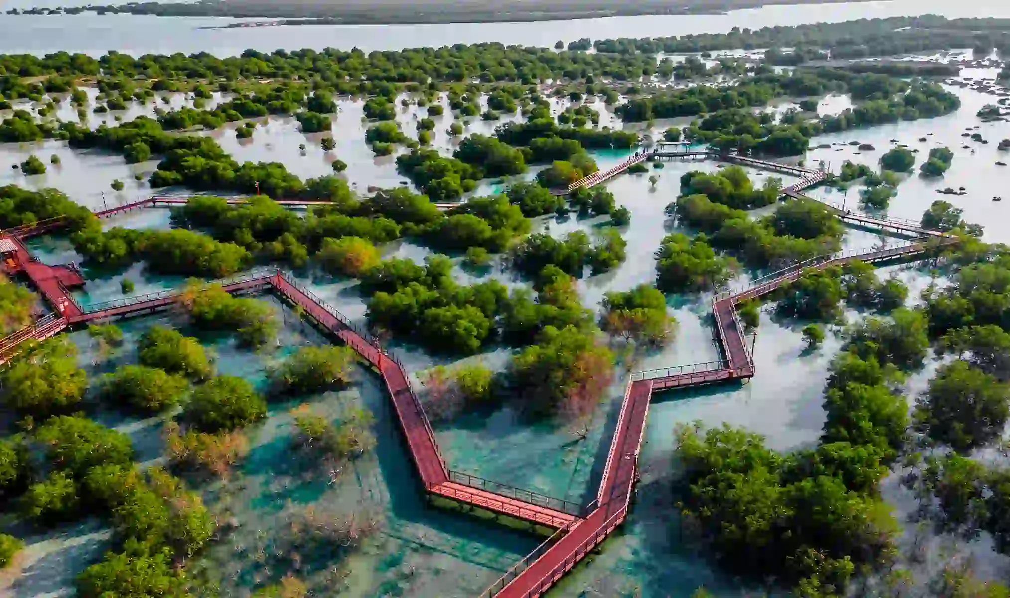 Mangrove Lagoon Marine Reserve