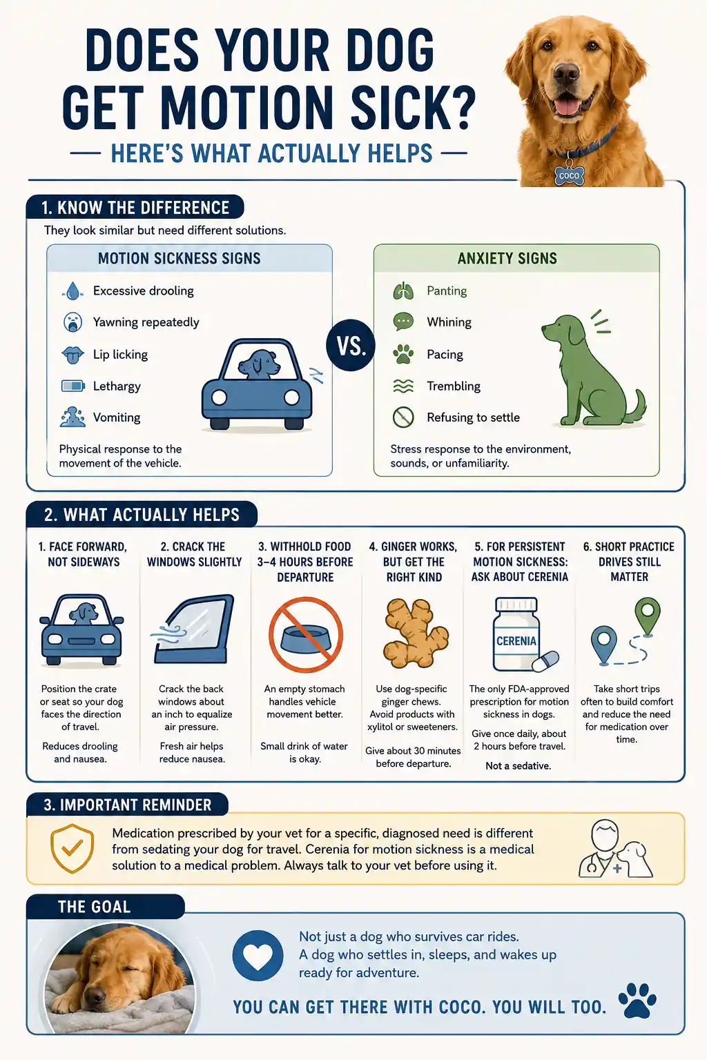 The Only Dog Travel Checklist You Need for Safe Adventures 5 Does Your Dog Get Motion Sick