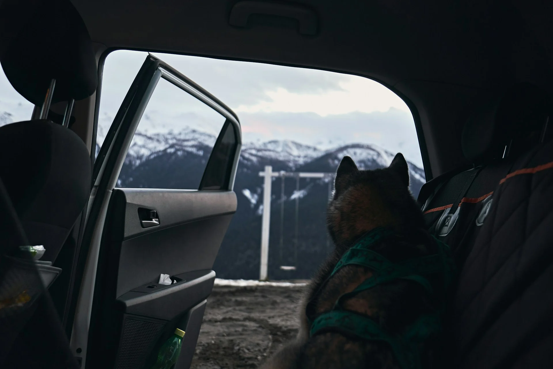The Only Dog Travel Checklist You Need for Safe Adventures 2 How to Plan When Traveling with Your Dog