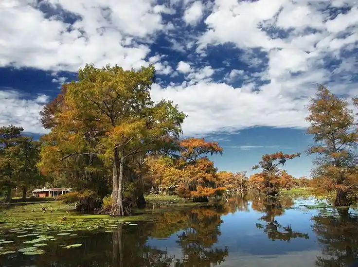 Autumn in