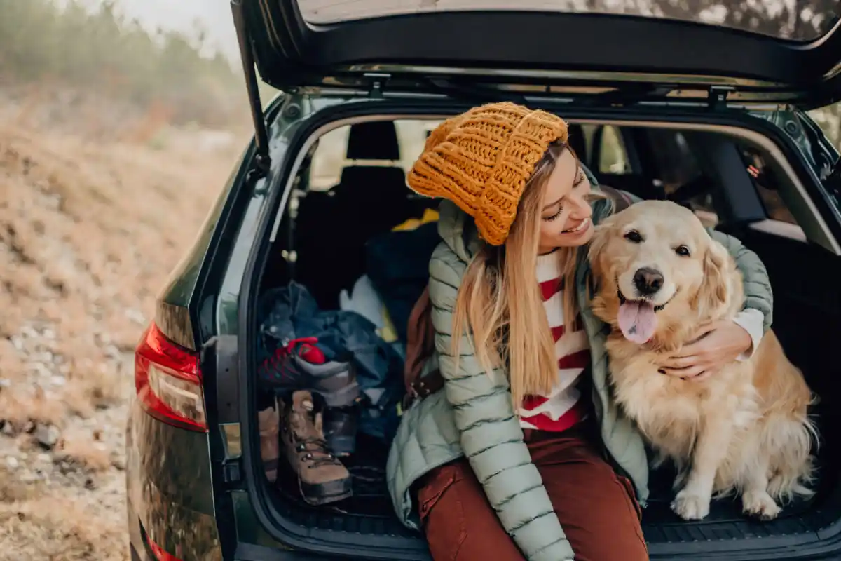 Car Travel with dogs