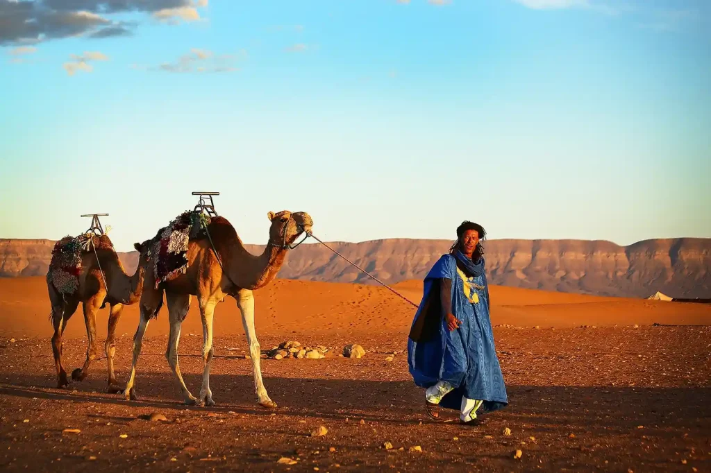 Desert Expeditions
