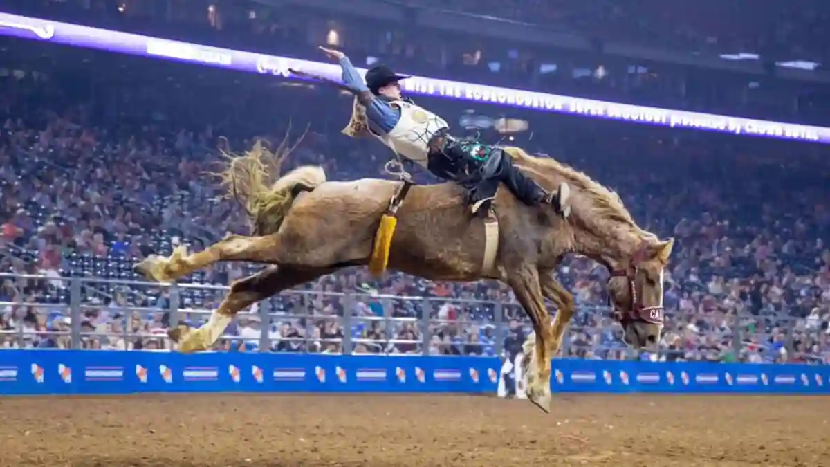 Houston Livestock Show Rodeo
