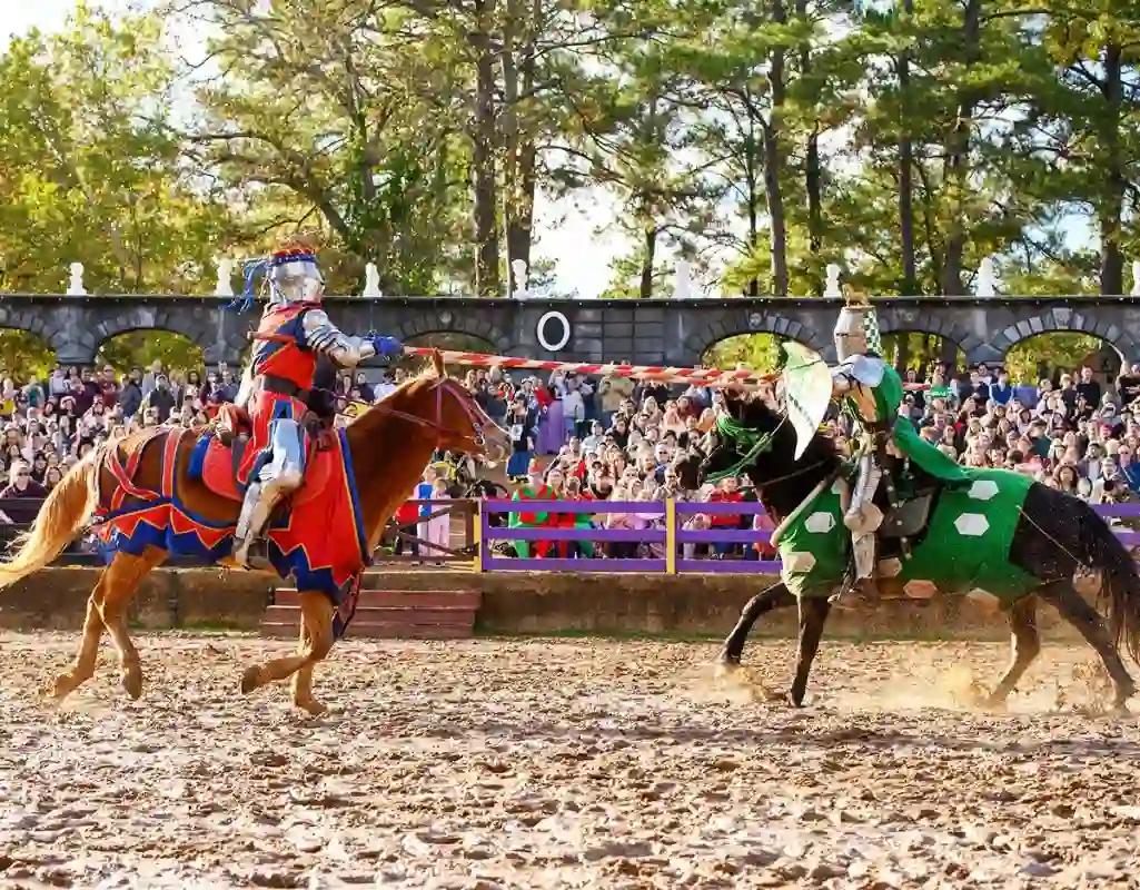 Texas Renaissance Festival