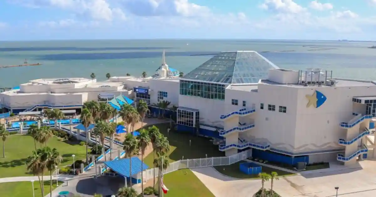 Texas State Aquarium