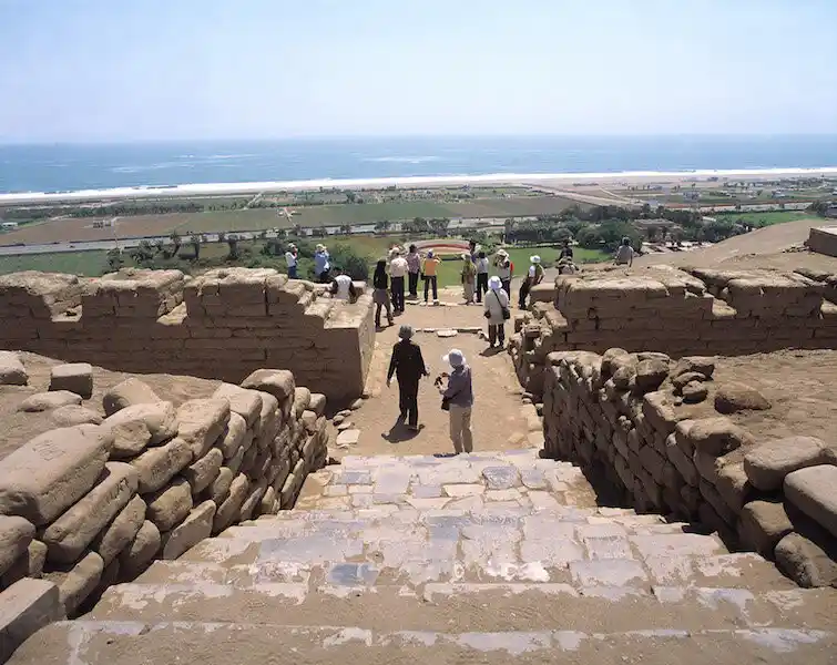 Wari cultures