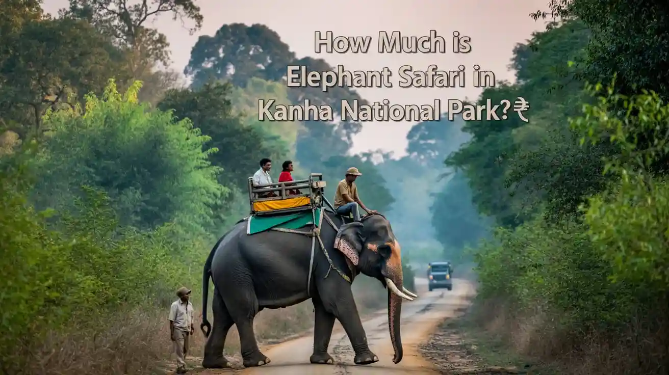 How Much Is Elephant Safari in Kanha National Park?