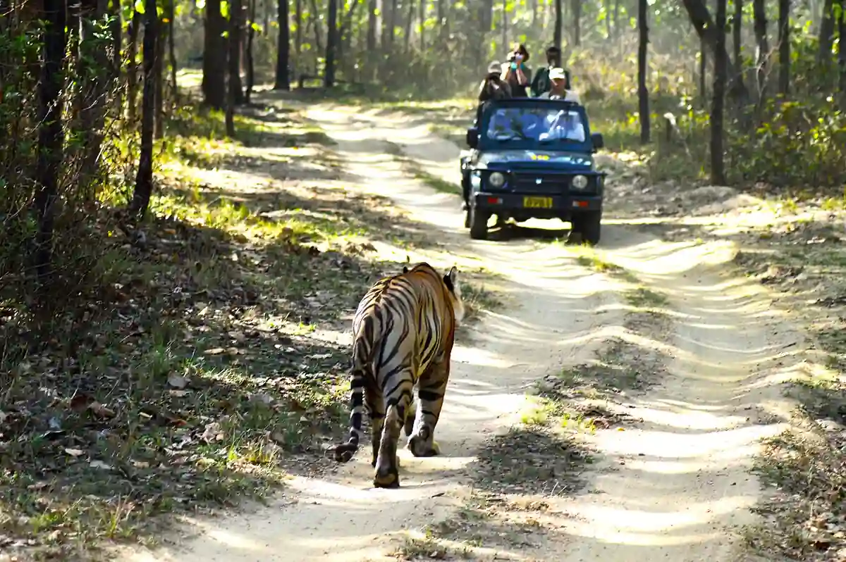 Kanha National Park Jeep Safari