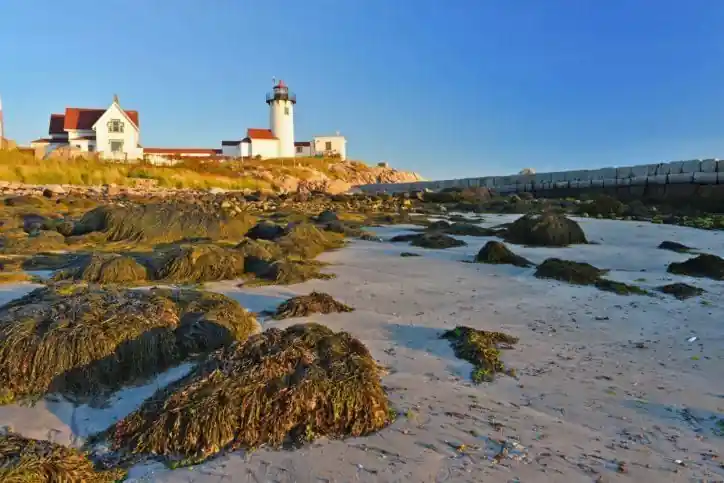 New England Beach Trip