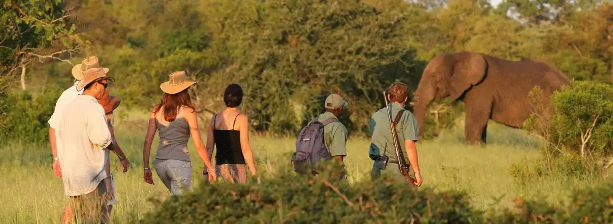 Walking Safari Kanha National Park