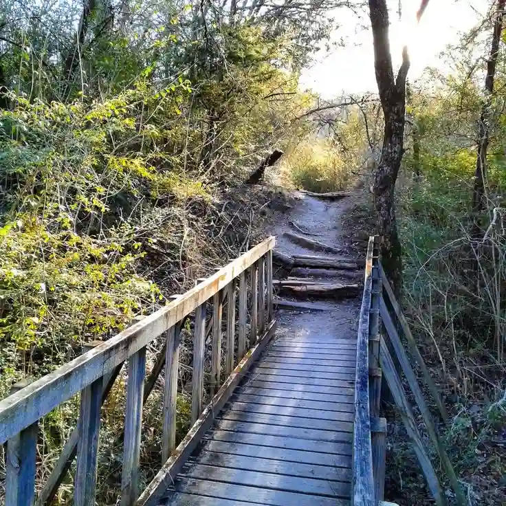 Cedar Ridge Preserve