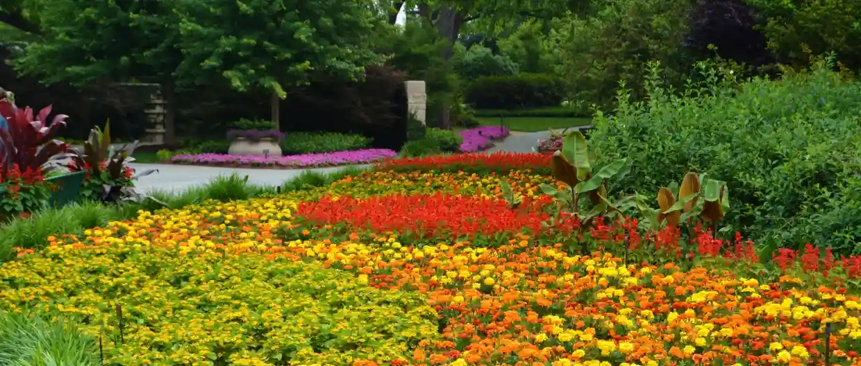 Dallas Arboretum and Botanical Garden – Seasonal Blooms Fairytale Landscapes