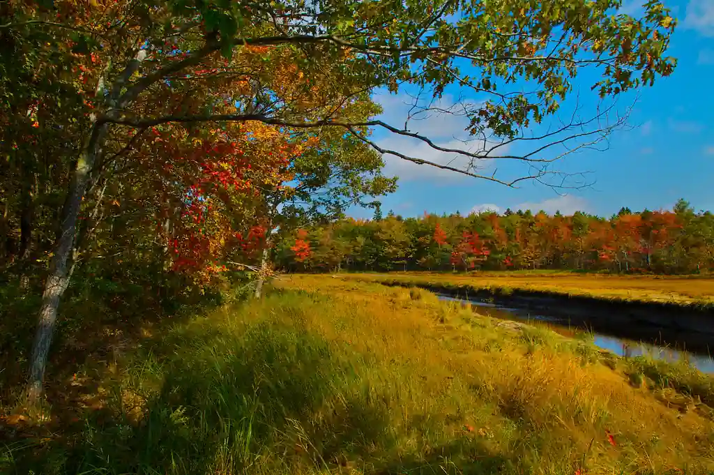 Explore the Rachel Carson National Wildlife Refuge