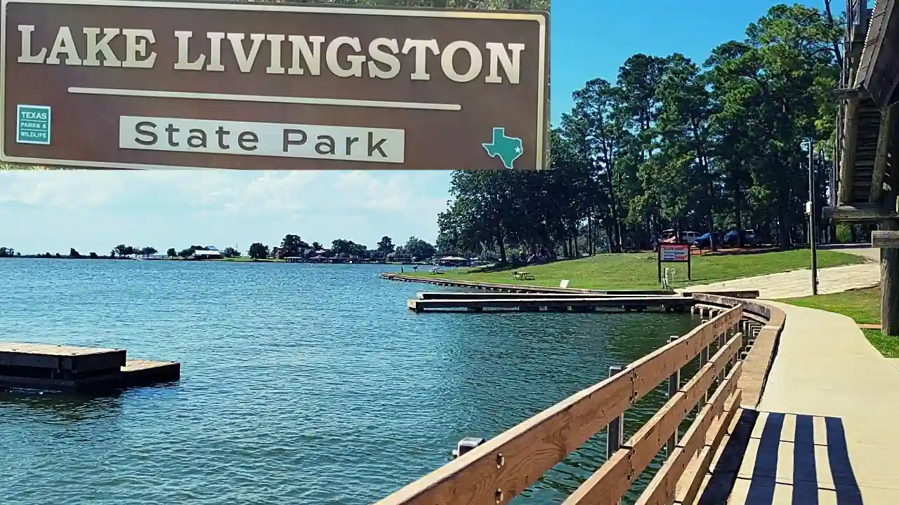 Lake Livingston East Texas Pineywoods