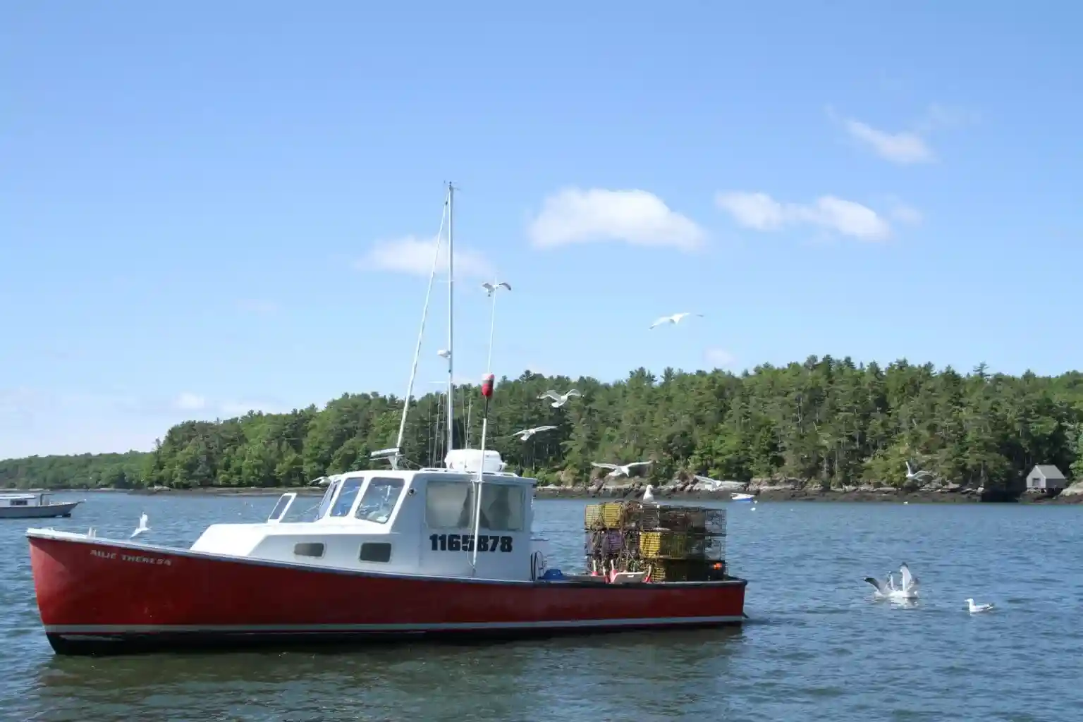 Scenic Lobster Boat Tour 1