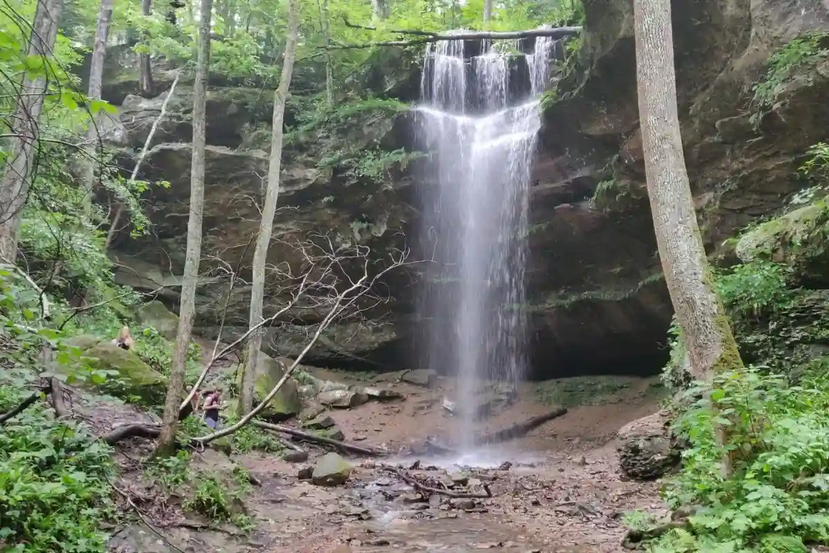 Best Time to Visit Hemlock Cliffs