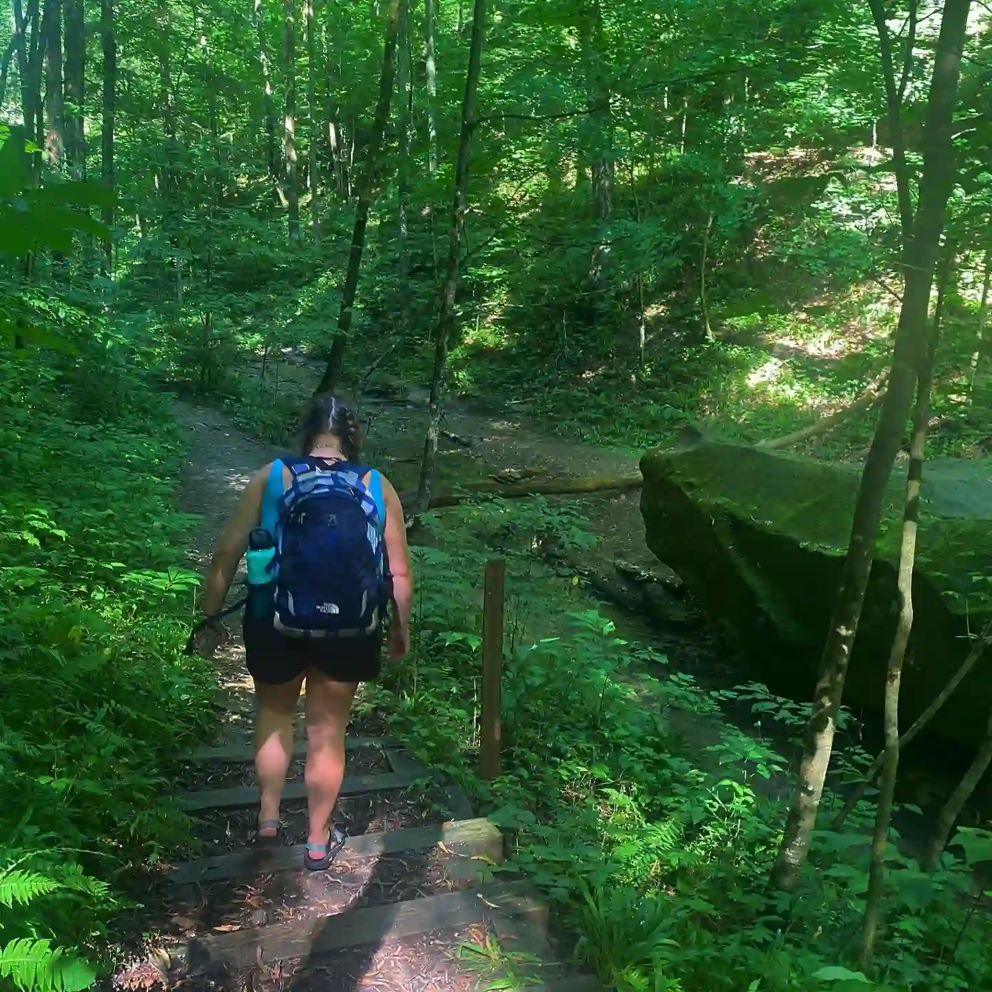Loop Hiking in Hemlock Cliffs