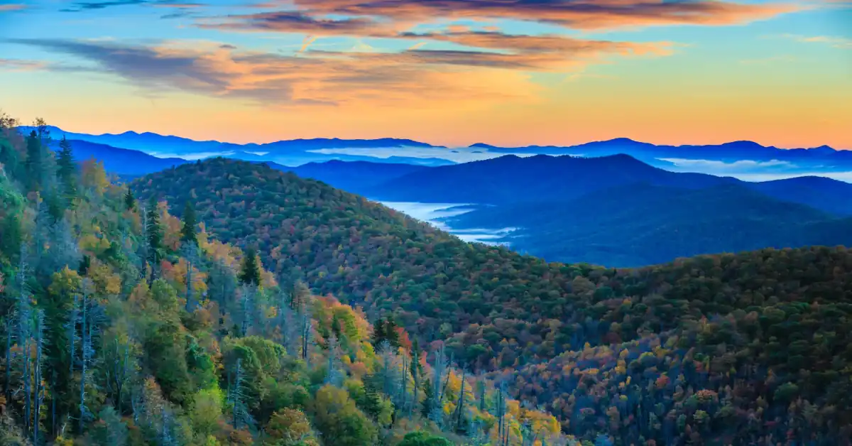 Microclimates make weather