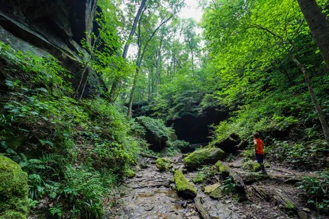 Navigating the Terrain in Hemlock Cliffs