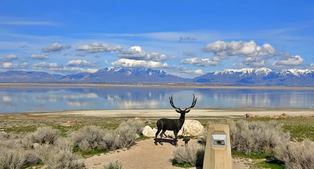 15 Must-Do Things to Do in Salt Lake City in 2025 (You’ll Love These) 18 Antelope Island State Park