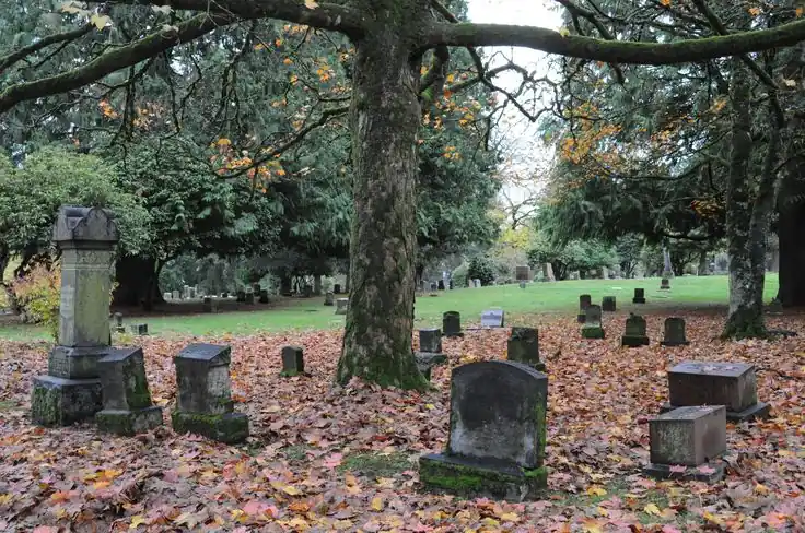 Haunted Mansion Disneyland: 9 Secrets Every Visitor Must Know (2025) 1 Haunted Grounds Cemetery Details
