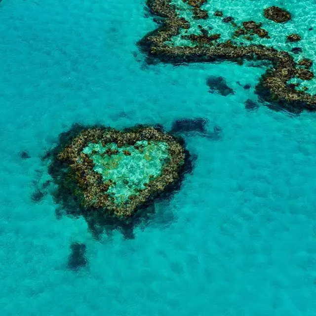 6 Remote Heart Shaped Islands for Your Next Romantic Escape 3 Heart Reef — Australia