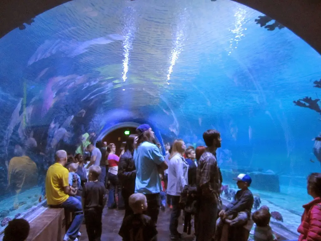 15 Must-Do Things to Do in Salt Lake City in 2025 (You’ll Love These) 8 Loveland Living Planet Aquarium