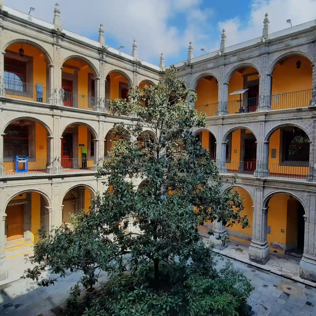 7 Mexico City Museums You’ve Never Heard Of (But Must See in 2025) 3 Museo de la Luz