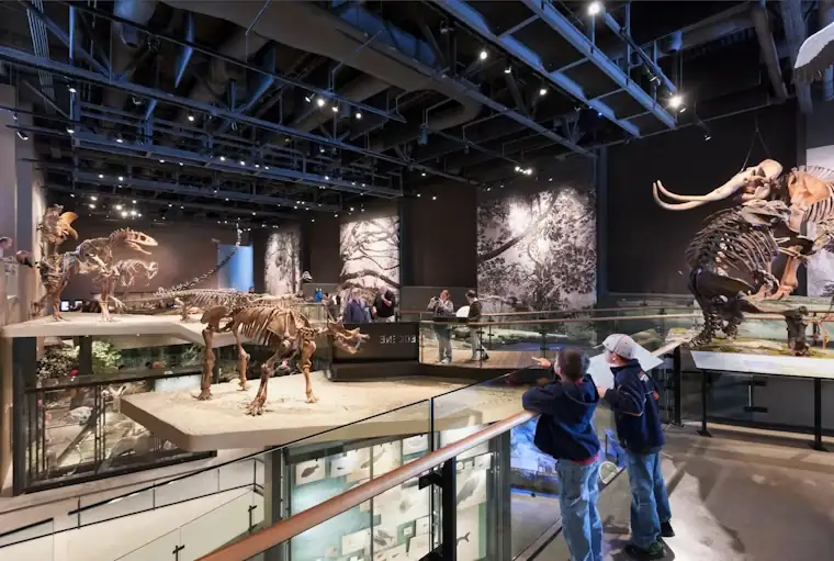 15 Must-Do Things to Do in Salt Lake City in 2025 (You’ll Love These) 5 Natural History Museum of Utah