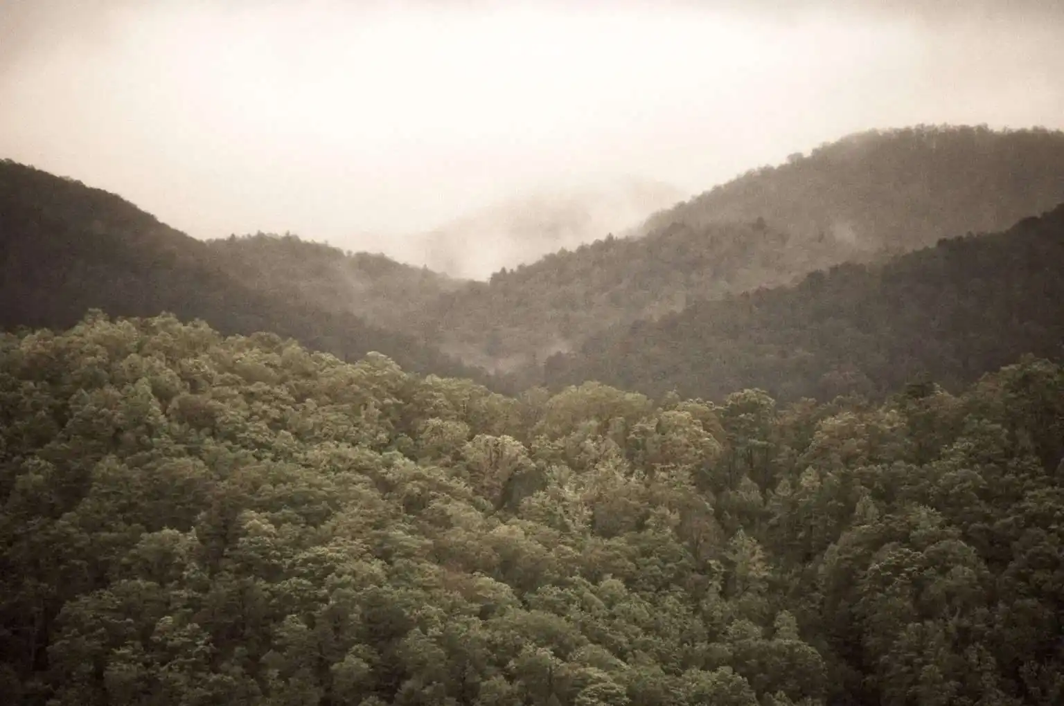 Hidden Appalachian Mountains Folklore: Legendary Myths Every Traveler Should Walk 1 Roots of Appalachian Folklore
