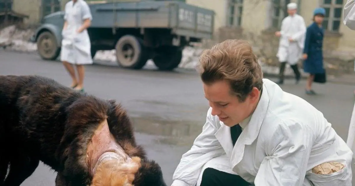 Inside the Two Headed Dog Museum: A Strange Exhibit & Travel Tip 2 Vladimir Demikhovs
