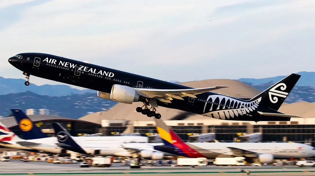 15 Best Airlines for Long Flights in 2025: Comfort, Cuisine, and Sky-High Service 15 Air New Zealand