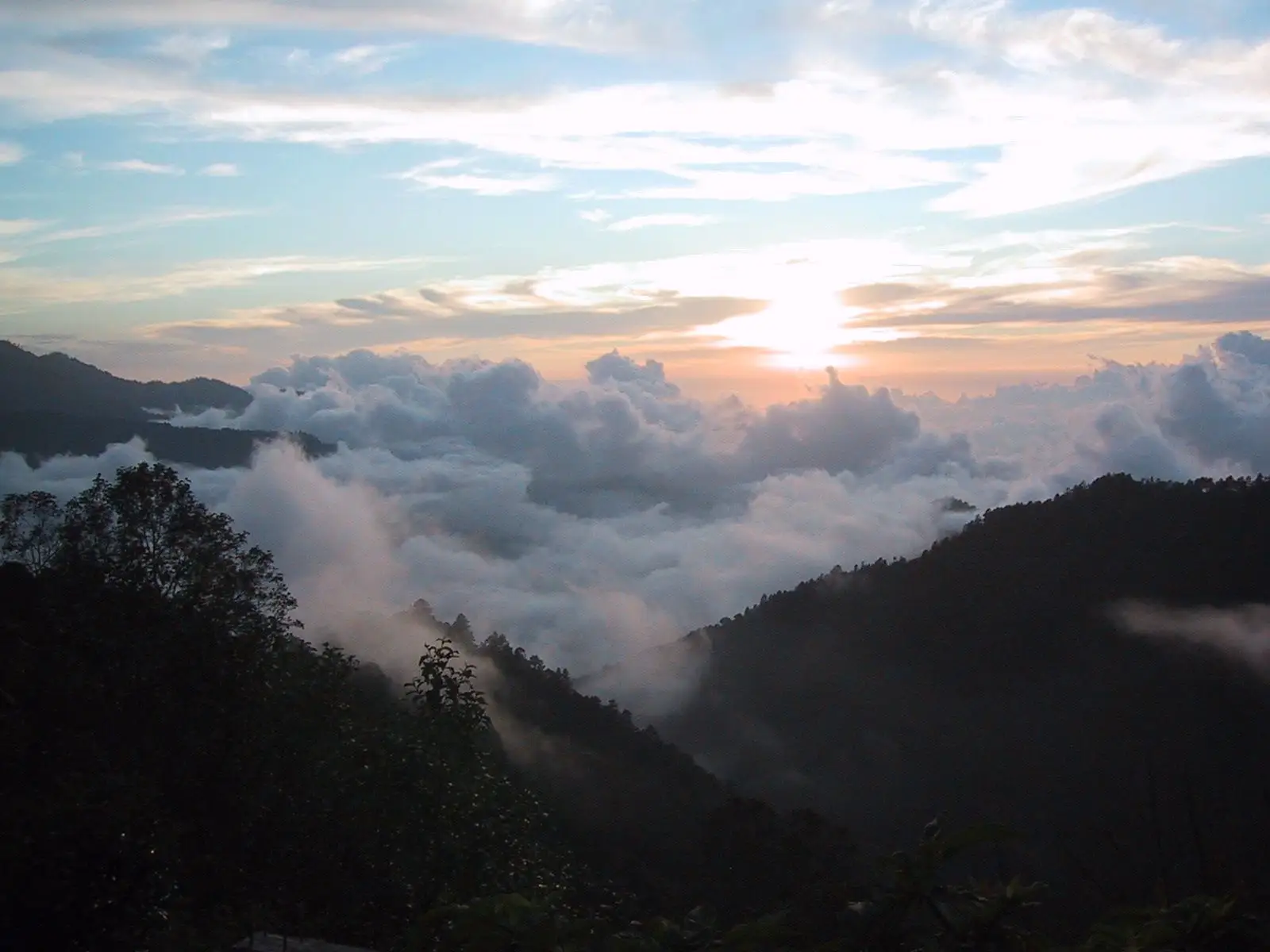 Cloud Forest of San Jose del Pacifico
