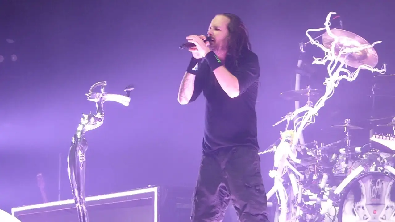 Catch a Live Music Performance