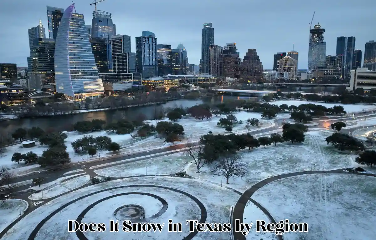 Does It Snow in Texas by Region