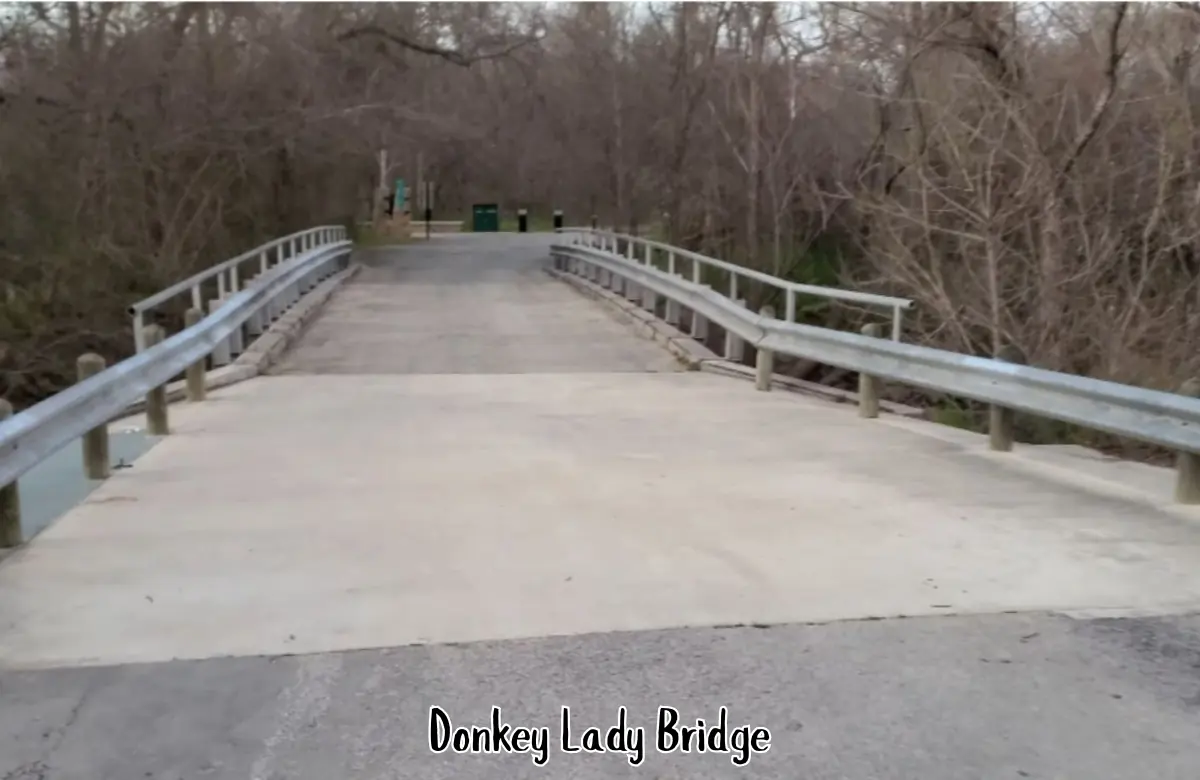 Donkey Lady Bridge