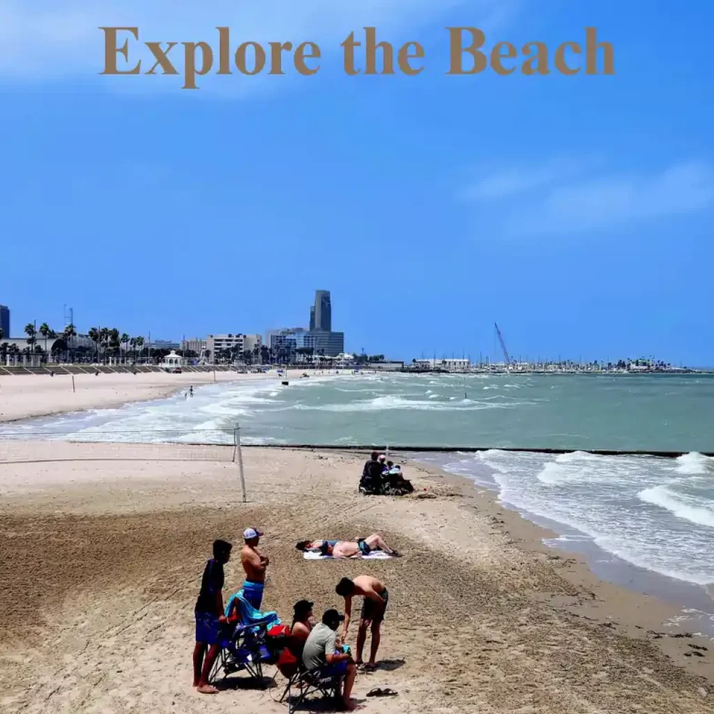 Explore the Beach