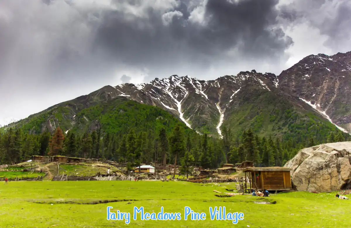 Fairy Meadows Pine Village