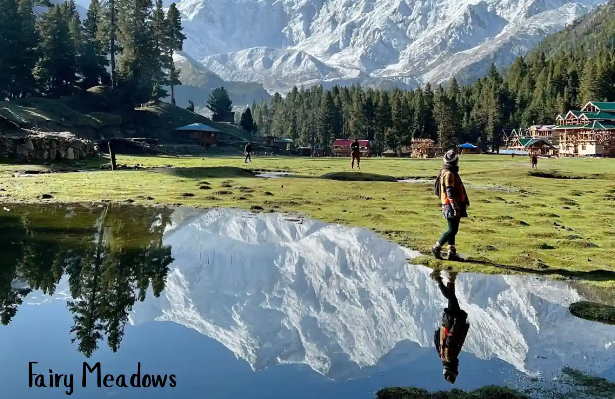 Fairy Meadows
