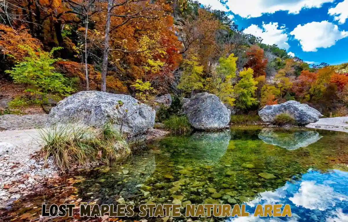 Lost Maples State Natural Area 1