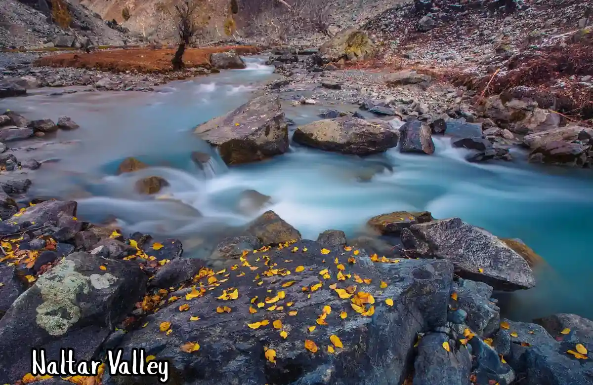 Naltar Valley