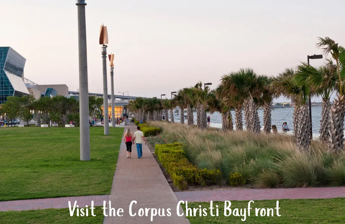 Visit the Corpus Christi Bayfront