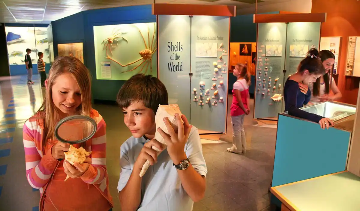 Visit the Museum of Science and History