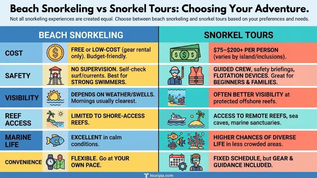 Beach Snorkeling vs Snorkel Tours in Hawaii