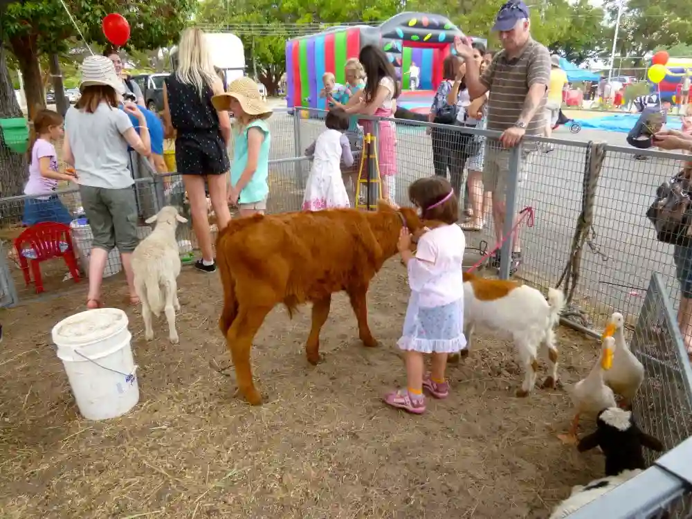 15+ Free Easter Places In Texas to Go With Kids in 2026 15 Petting Zoo Egg Hunt
