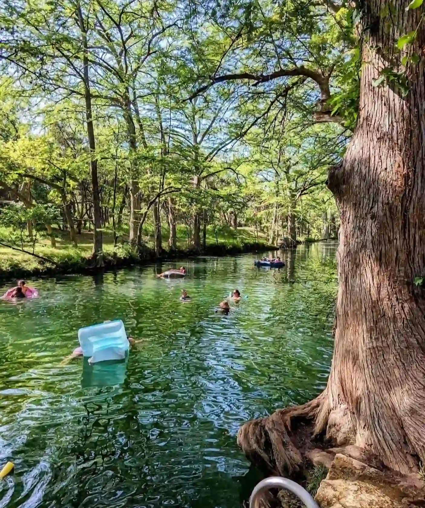 15+ Best Swimming Holes in Texas You Need to Visit 7 Blue Hole Park