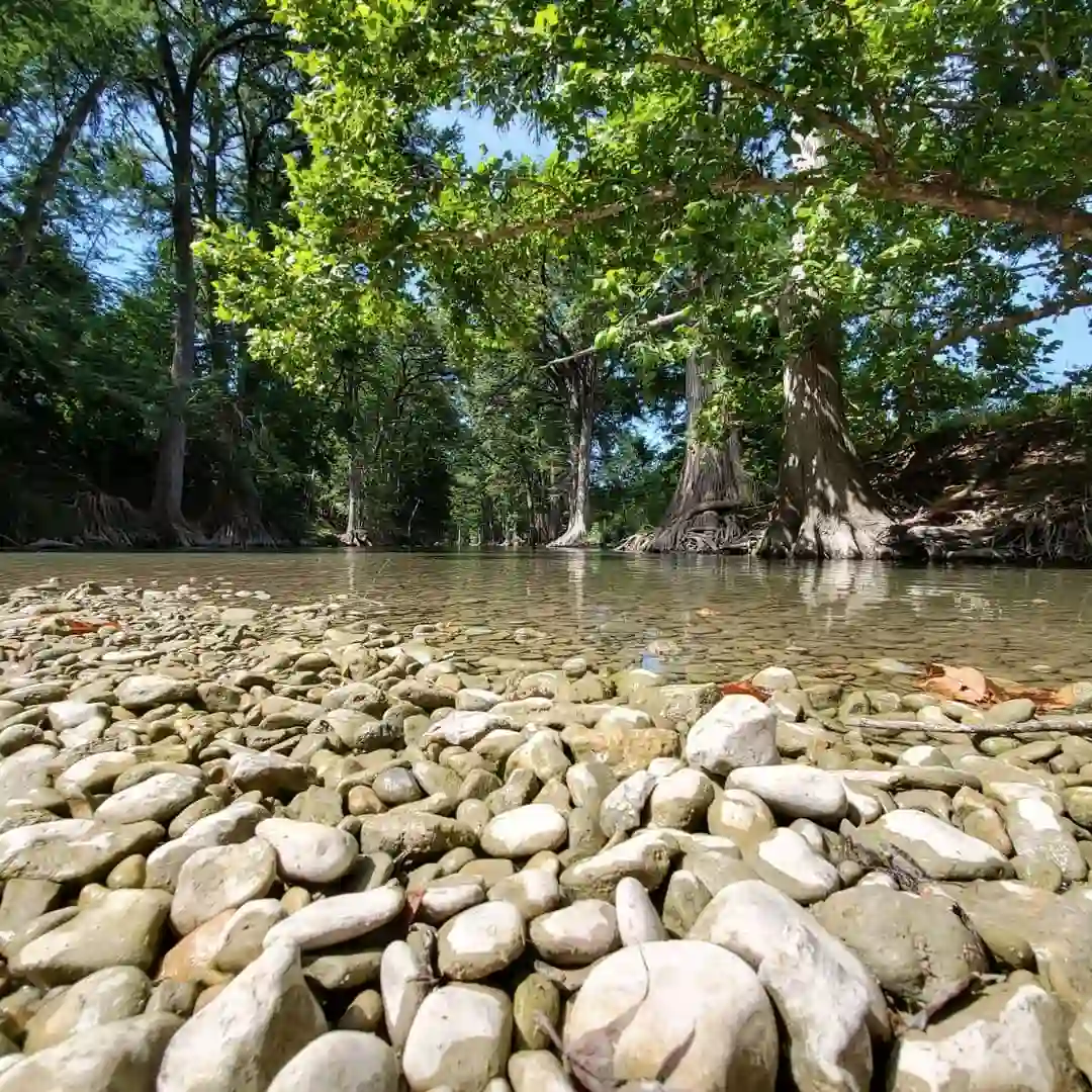 15+ Best Swimming Holes in Texas You Need to Visit 9 James Kiehl River Bend Park