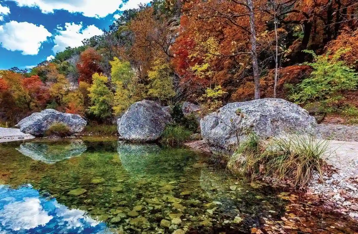 Lost Maples State Natural Area