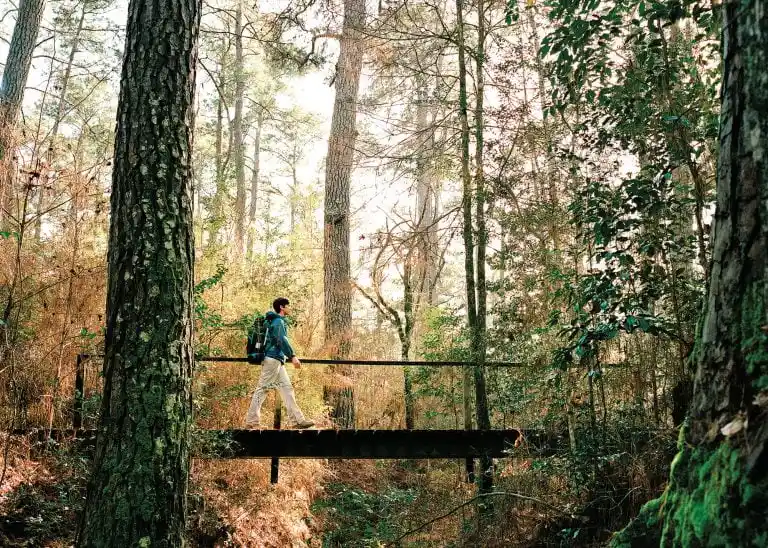 Sam Houston National Forest Trails