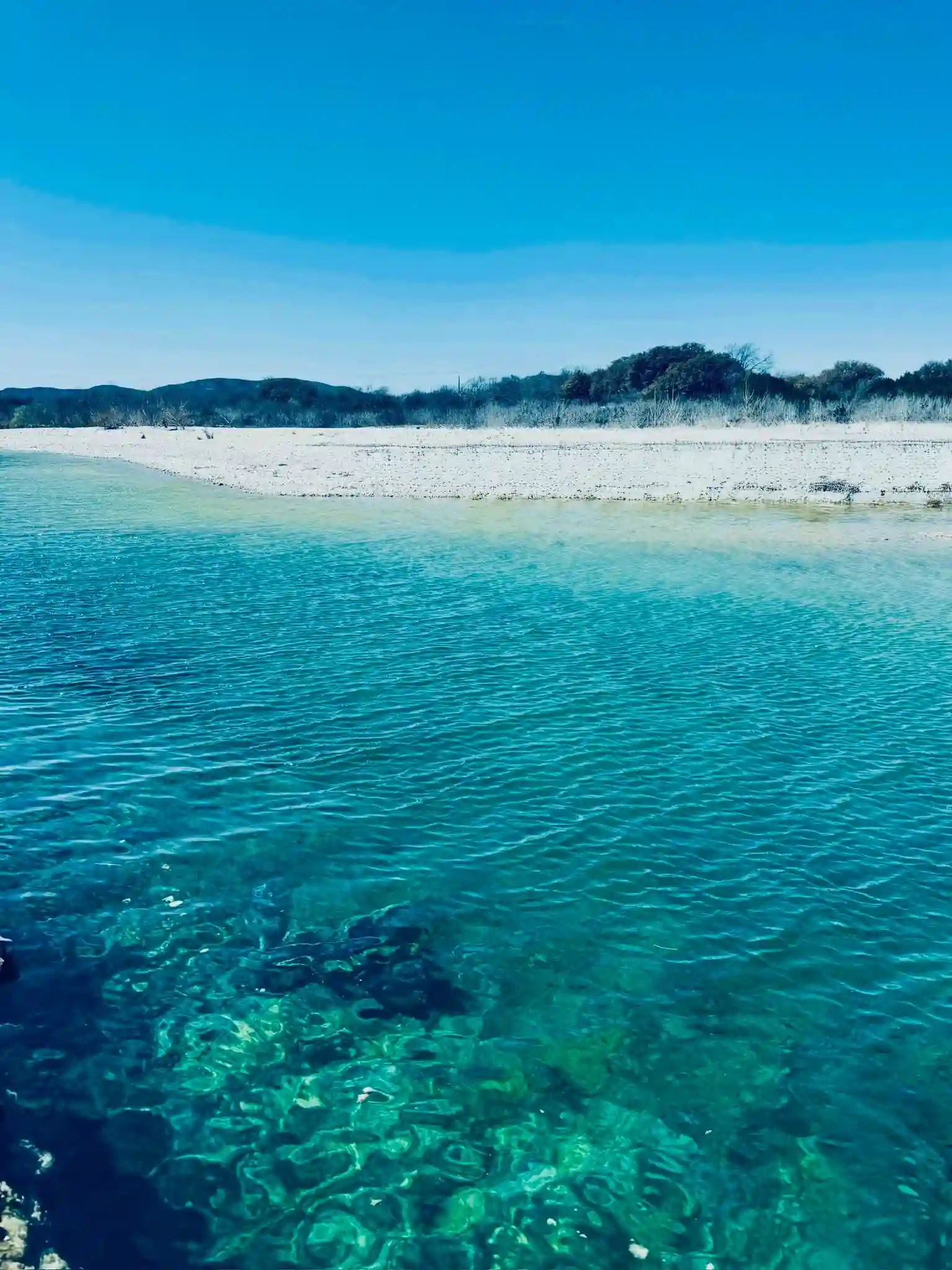 15+ Best Swimming Holes in Texas You Need to Visit 4 The Quince Swimming hole
